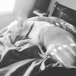 Meet your Posher, Brian